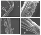 Analyse des fibres de rembourrage. Vue sous microscope électronique à balayage