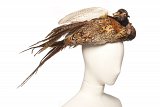 Esther Meyer, Chapeau à tête, ailes et plumes de faisan recomposé, vers 1905